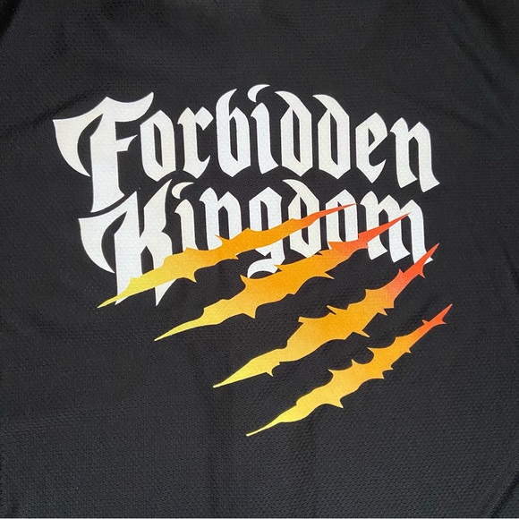 Insomniac Men’s Forbidden Kingdom Logo EDM Rave Festival Jersey Size Large - Picture 8 of 10